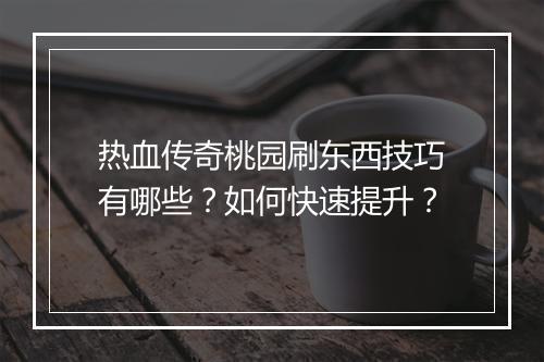 热血传奇桃园刷东西技巧有哪些？如何快速提升？