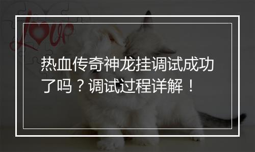 热血传奇神龙挂调试成功了吗？调试过程详解！
