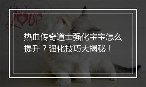 热血传奇道士强化宝宝怎么提升？强化技巧大揭秘！