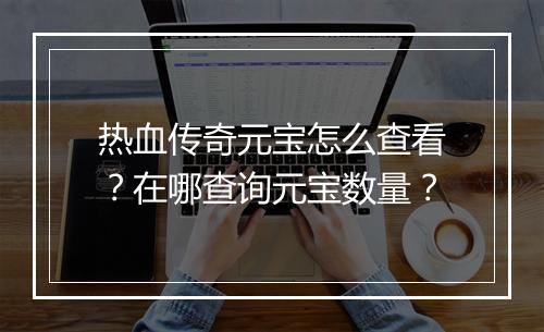 热血传奇元宝怎么查看？在哪查询元宝数量？