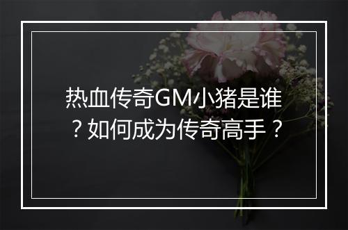 热血传奇GM小猪是谁？如何成为传奇高手？