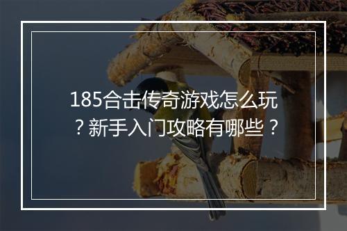 185合击传奇游戏怎么玩？新手入门攻略有哪些？
