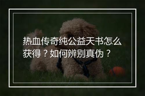 热血传奇纯公益天书怎么获得？如何辨别真伪？