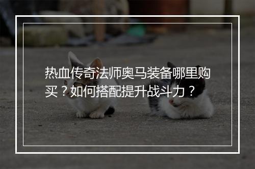 热血传奇法师奥马装备哪里购买？如何搭配提升战斗力？