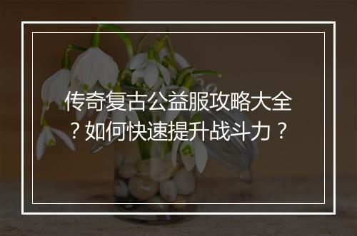 传奇复古公益服攻略大全？如何快速提升战斗力？
