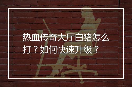 热血传奇大厅白猪怎么打？如何快速升级？