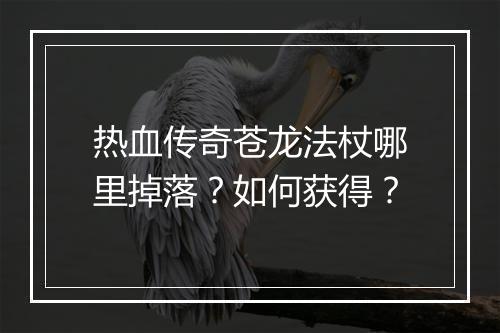 热血传奇苍龙法杖哪里掉落？如何获得？