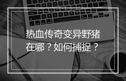 热血传奇变异野猪在哪？如何捕捉？