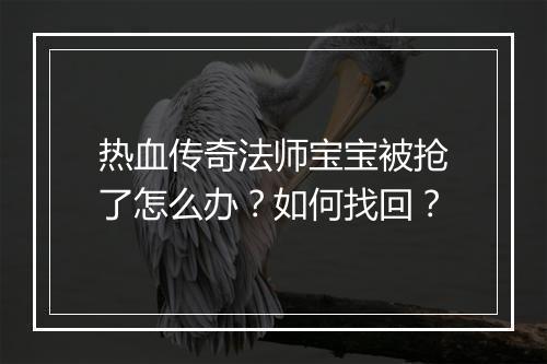 热血传奇法师宝宝被抢了怎么办？如何找回？