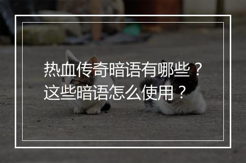 热血传奇暗语有哪些？这些暗语怎么使用？