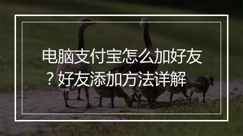 电脑支付宝怎么加好友？好友添加方法详解