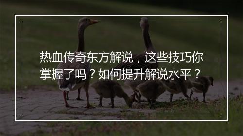 热血传奇东方解说，这些技巧你掌握了吗？如何提升解说水平？