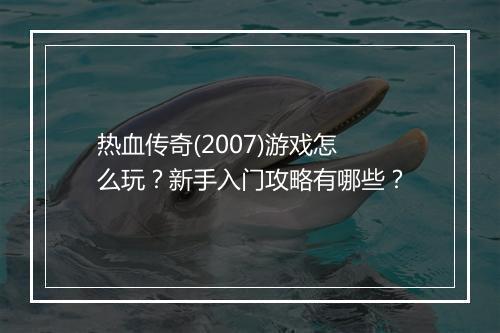 热血传奇(2007)游戏怎么玩？新手入门攻略有哪些？