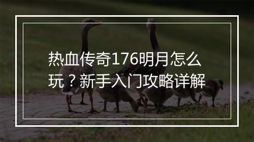 热血传奇176明月怎么玩？新手入门攻略详解