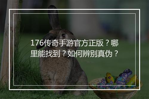 176传奇手游官方正版？哪里能找到？如何辨别真伪？