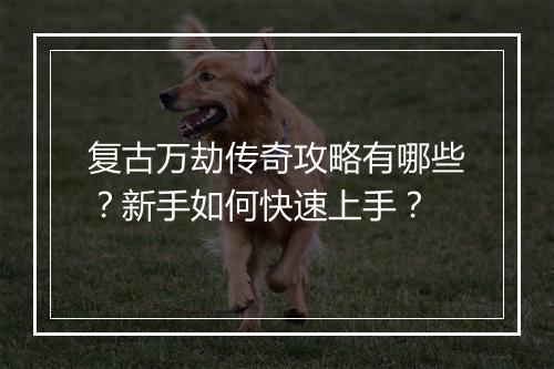 复古万劫传奇攻略有哪些？新手如何快速上手？