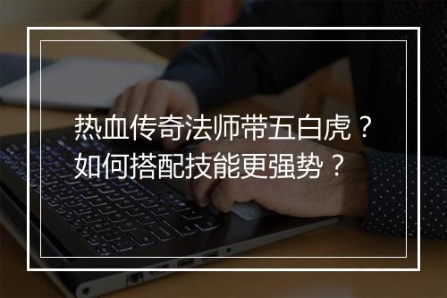 热血传奇法师带五白虎？如何搭配技能更强势？