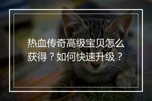 热血传奇高级宝贝怎么获得？如何快速升级？