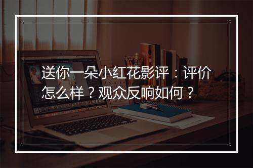 送你一朵小红花影评：评价怎么样？观众反响如何？