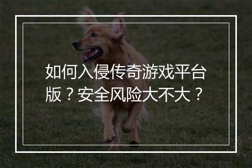 如何入侵传奇游戏平台版？安全风险大不大？