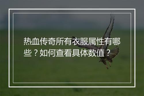 热血传奇所有衣服属性有哪些？如何查看具体数值？