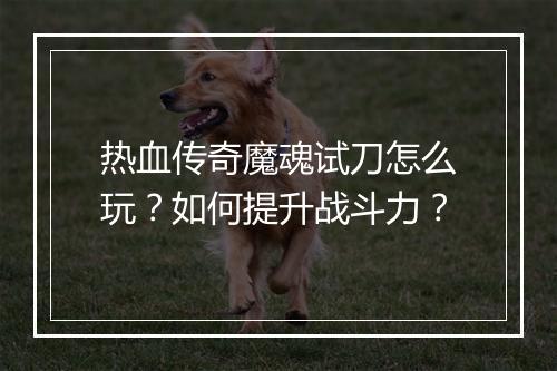 热血传奇魔魂试刀怎么玩？如何提升战斗力？