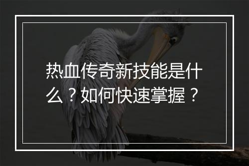 热血传奇新技能是什么？如何快速掌握？