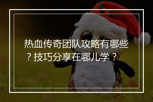 热血传奇团队攻略有哪些？技巧分享在哪儿学？