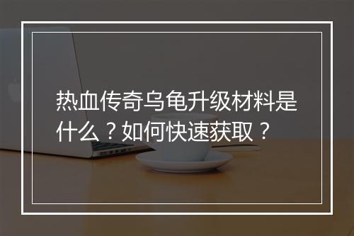 热血传奇乌龟升级材料是什么？如何快速获取？