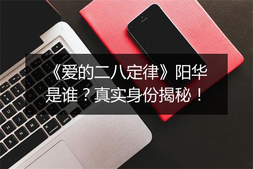 《爱的二八定律》阳华是谁？真实身份揭秘！