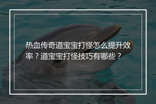 热血传奇道宝宝打怪怎么提升效率？道宝宝打怪技巧有哪些？