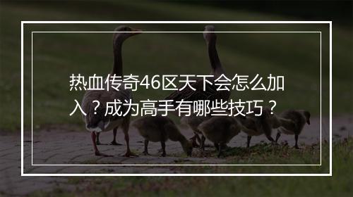 热血传奇46区天下会怎么加入？成为高手有哪些技巧？