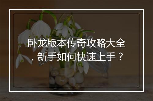 卧龙版本传奇攻略大全，新手如何快速上手？