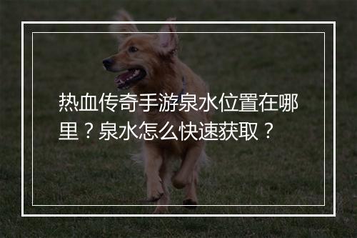 热血传奇手游泉水位置在哪里？泉水怎么快速获取？