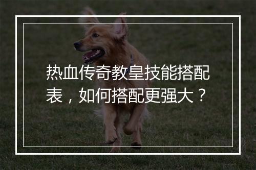 热血传奇教皇技能搭配表，如何搭配更强大？