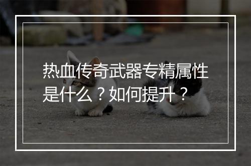 热血传奇武器专精属性是什么？如何提升？