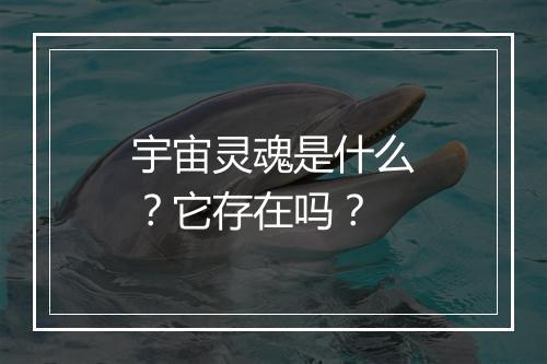 宇宙灵魂是什么？它存在吗？