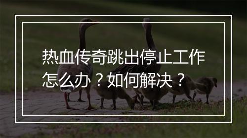 热血传奇跳出停止工作怎么办？如何解决？