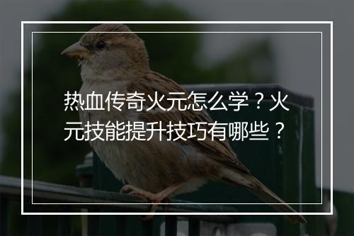 热血传奇火元怎么学?火元技能提升技巧有哪些?