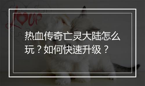 热血传奇亡灵大陆怎么玩？如何快速升级？