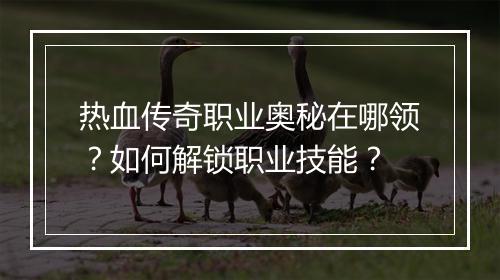 热血传奇职业奥秘在哪领？如何解锁职业技能？