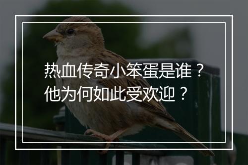 热血传奇小笨蛋是谁？他为何如此受欢迎？