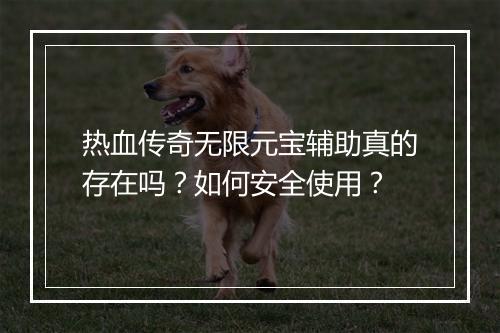 热血传奇无限元宝辅助真的存在吗？如何安全使用？