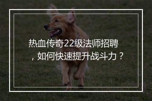 热血传奇22级法师招聘，如何快速提升战斗力？