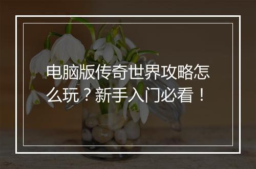 电脑版传奇世界攻略怎么玩？新手入门必看！