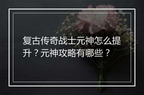 复古传奇战士元神怎么提升？元神攻略有哪些？