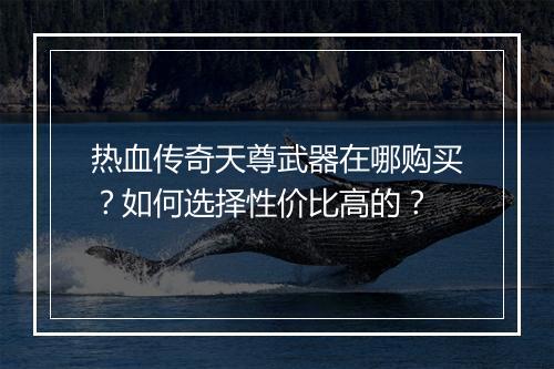热血传奇天尊武器在哪购买？如何选择性价比高的？