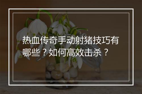 热血传奇手动射猪技巧有哪些？如何高效击杀？