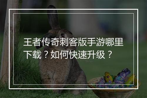 王者传奇刺客版手游哪里下载？如何快速升级？