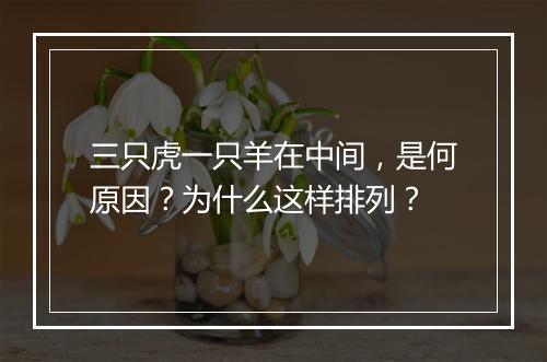 三只虎一只羊在中间，是何原因？为什么这样排列？